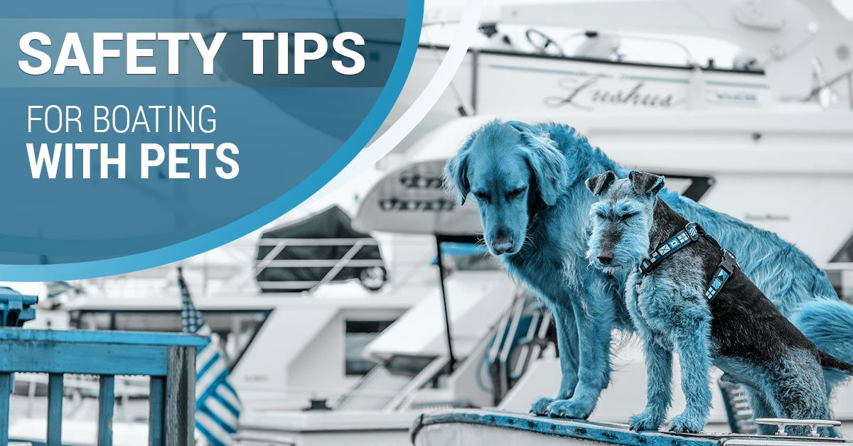 safety tips for boating with pets