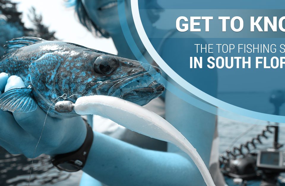 top fishing spots in florida